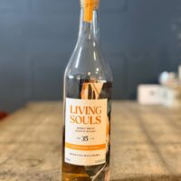 Sample 76. Living Souls 35 years old